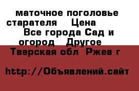 маточное поголовье старателя  › Цена ­ 3 700 - Все города Сад и огород » Другое   . Тверская обл.,Ржев г.